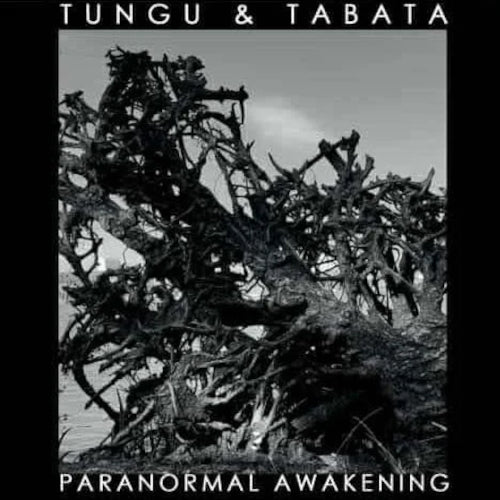 Paranormal Awakening