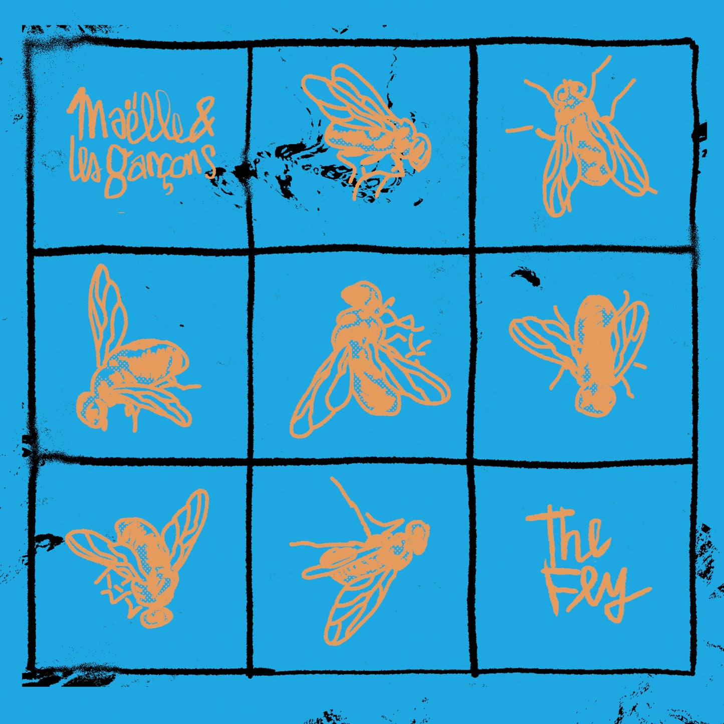 FLY