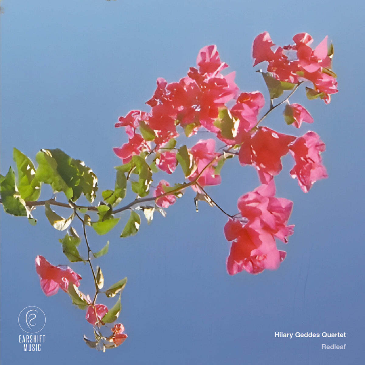 Redleaf