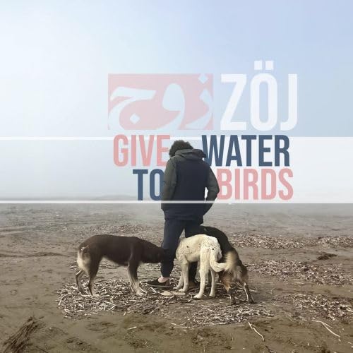 Give Water To Birds