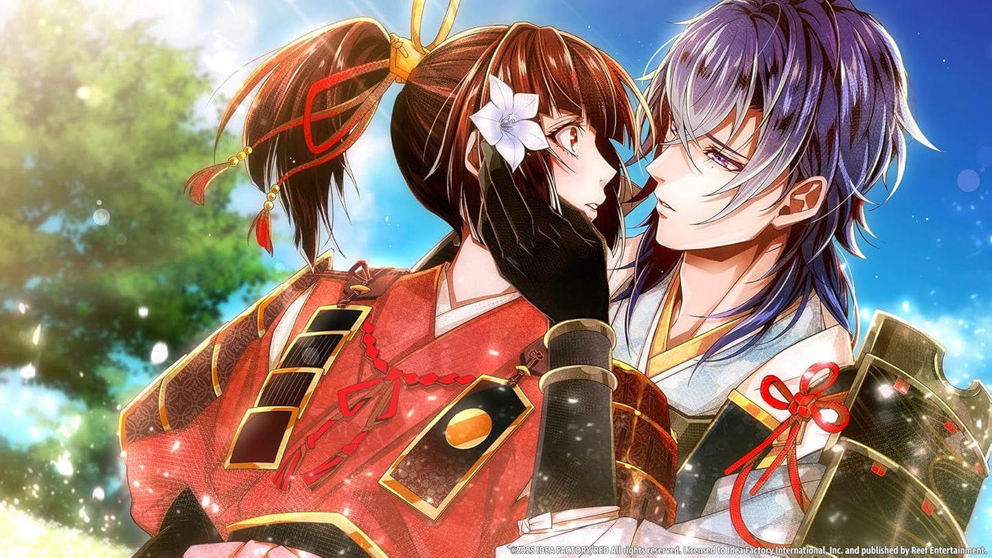 Birushana: Winds of Fate (Nintendo Switch