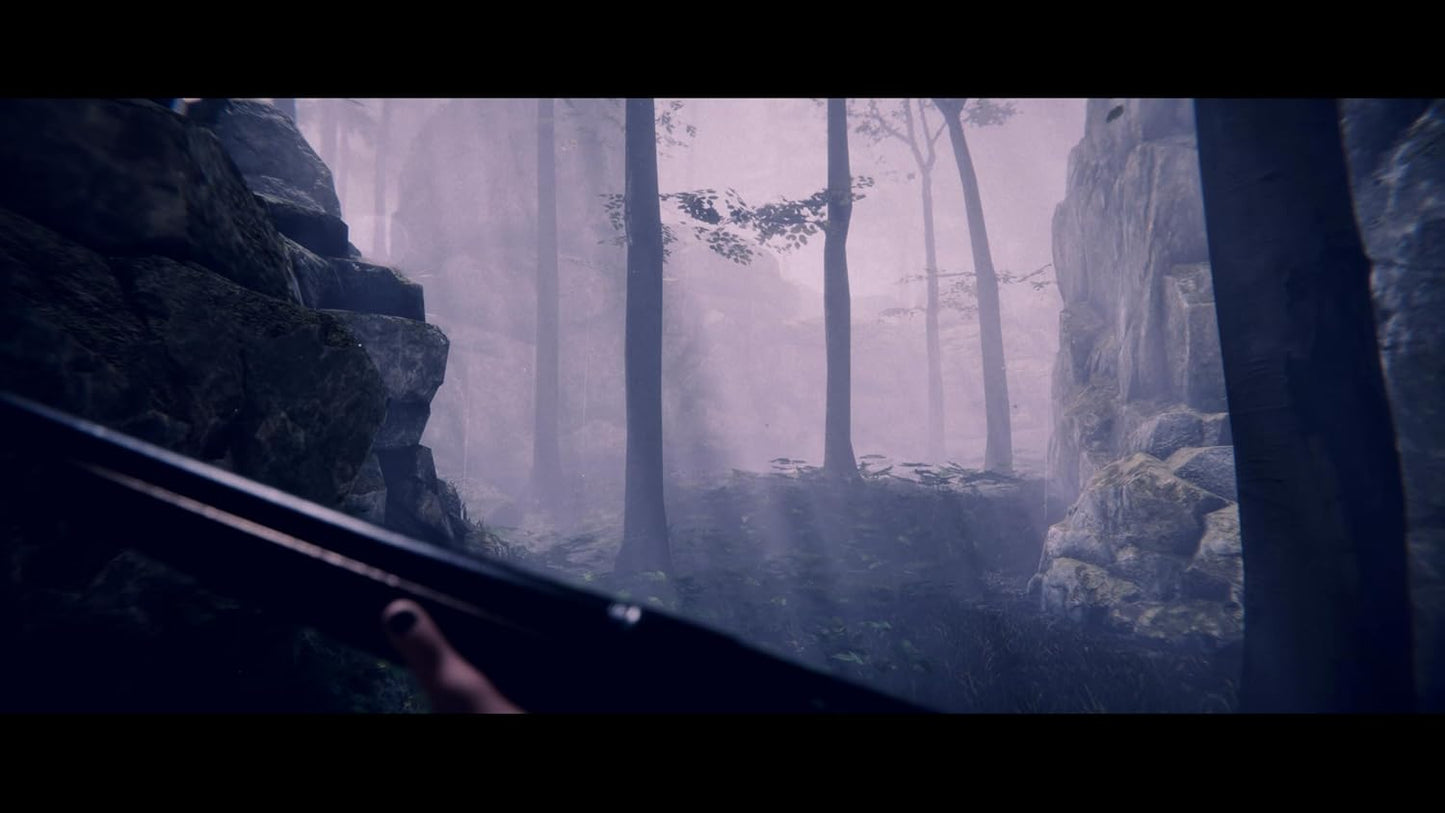 Project Songbird (PlayStation 5