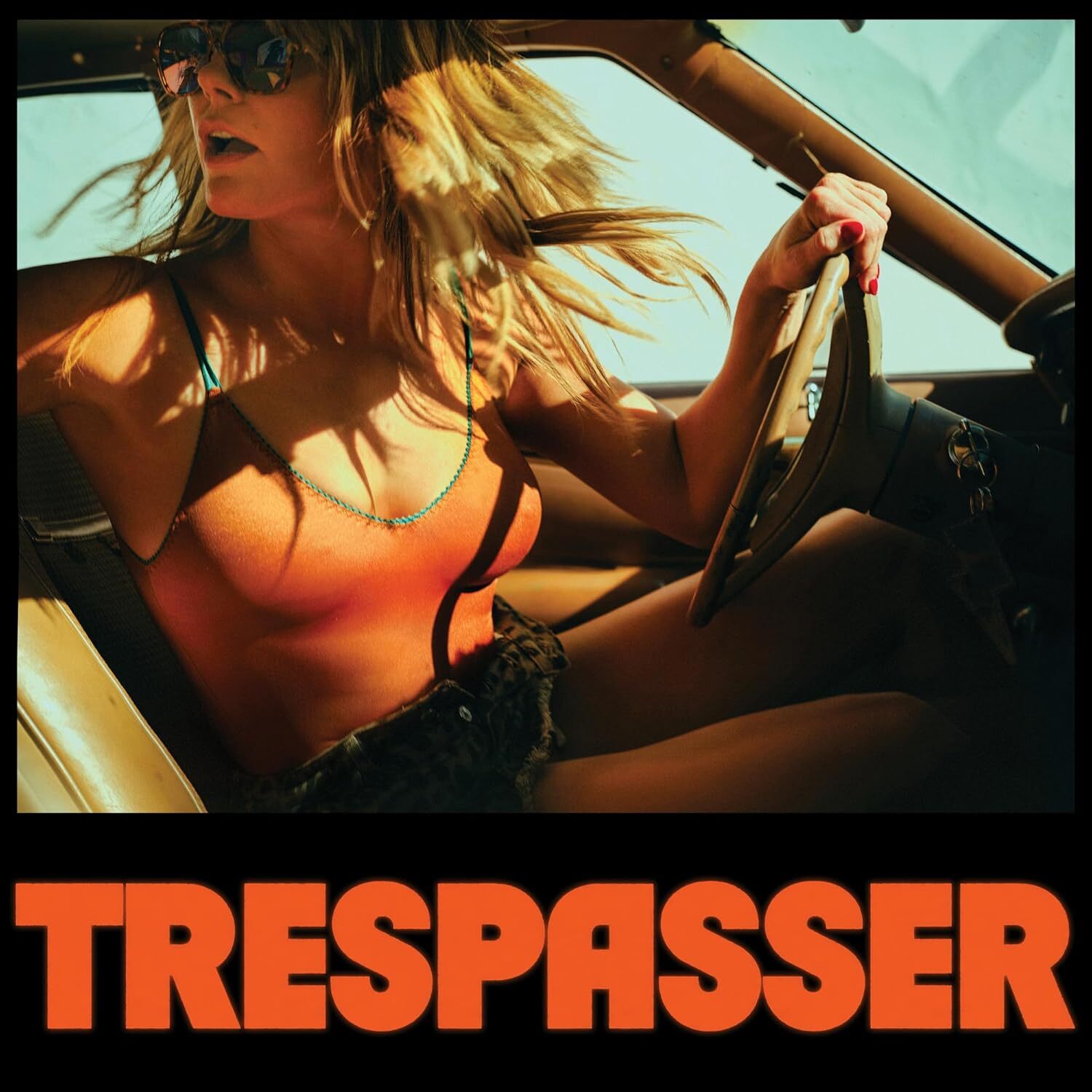 Trespasser