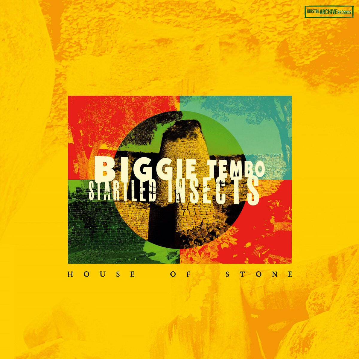 Biggie Tembo & Startled Insects