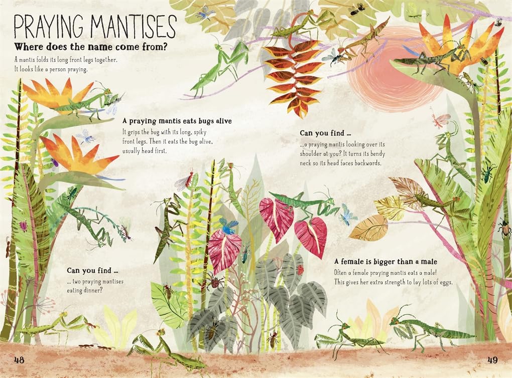 The Big Book of Bugs: 10th Anniversary Edition