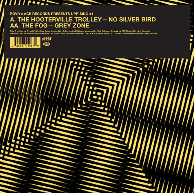 No Silver Bird/Grey Zone