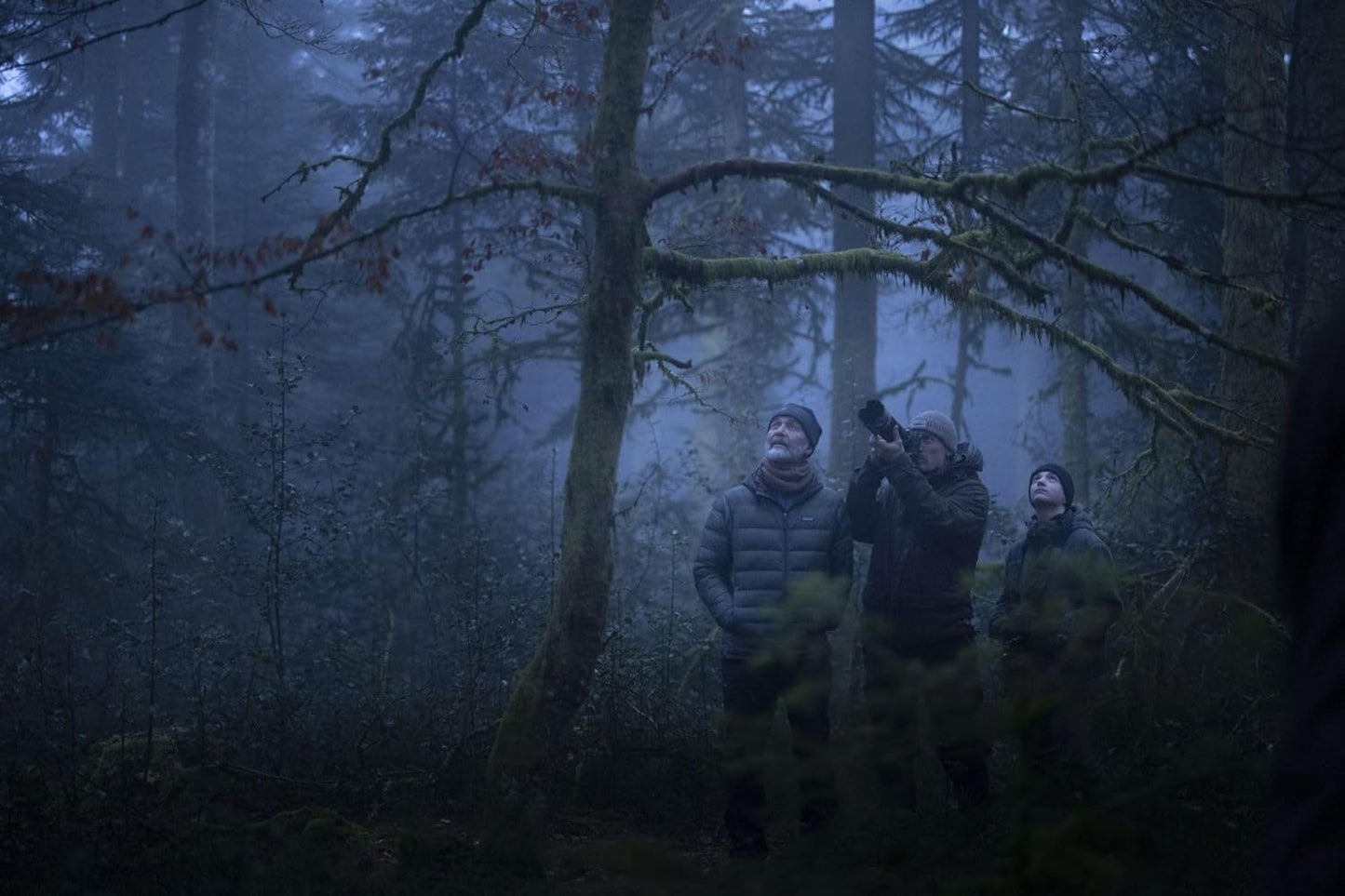 Das Flüstern der Wälder (Blu-ray