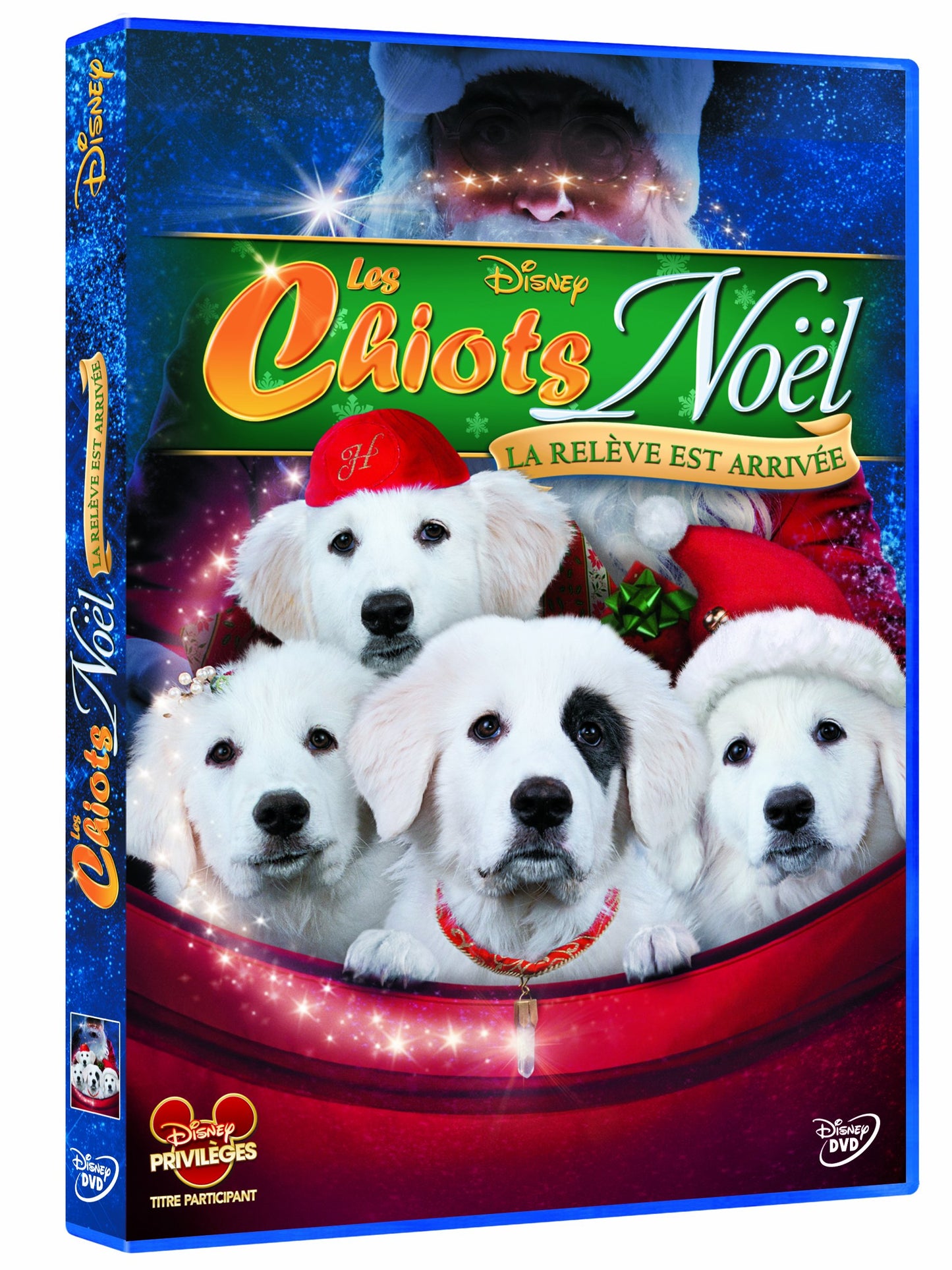 Les chiots de noël ; la relève est arrivée