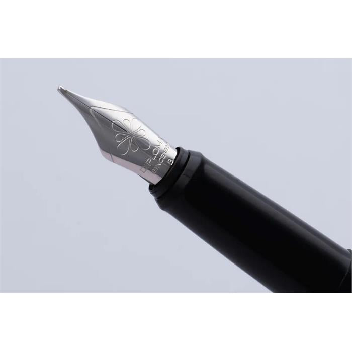 Diplomat Nib Section Esteem stainless steel nib - Broad