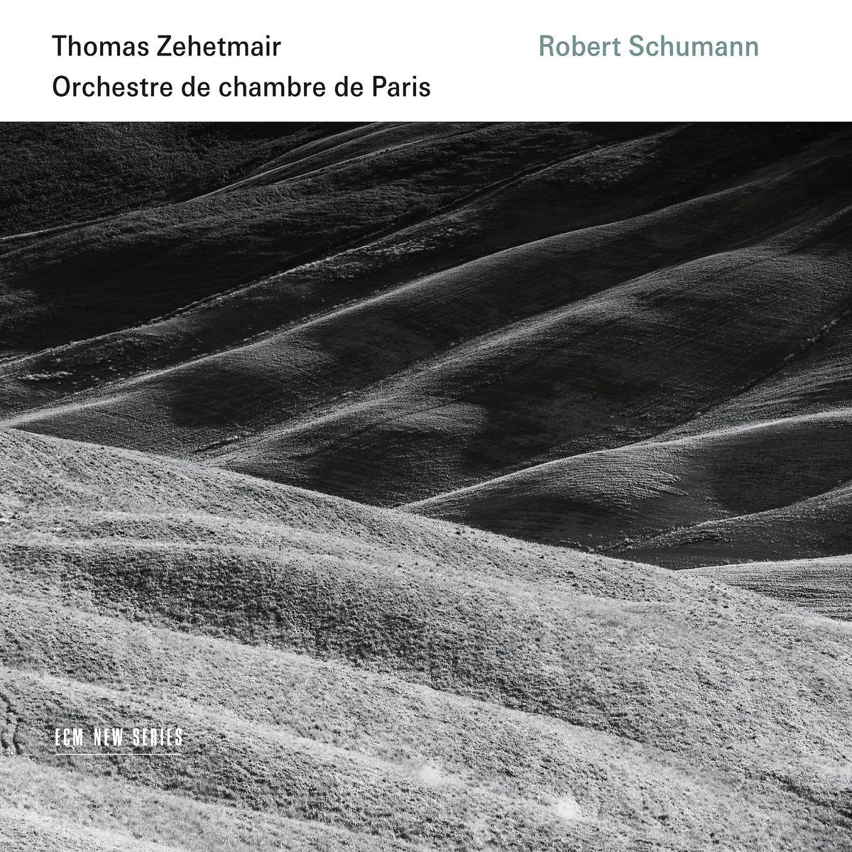 Schumann: Violin Concerto/Symphony No. 1