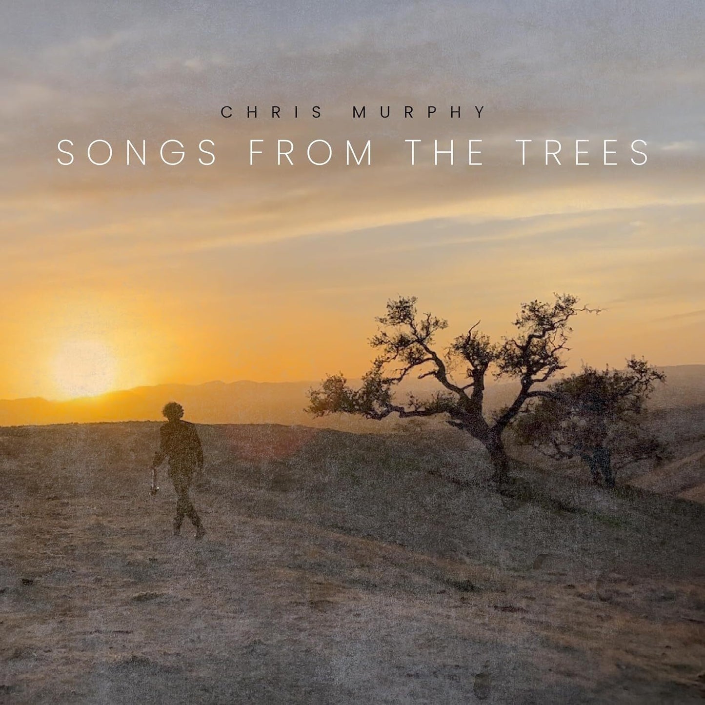 Songs from the Trees