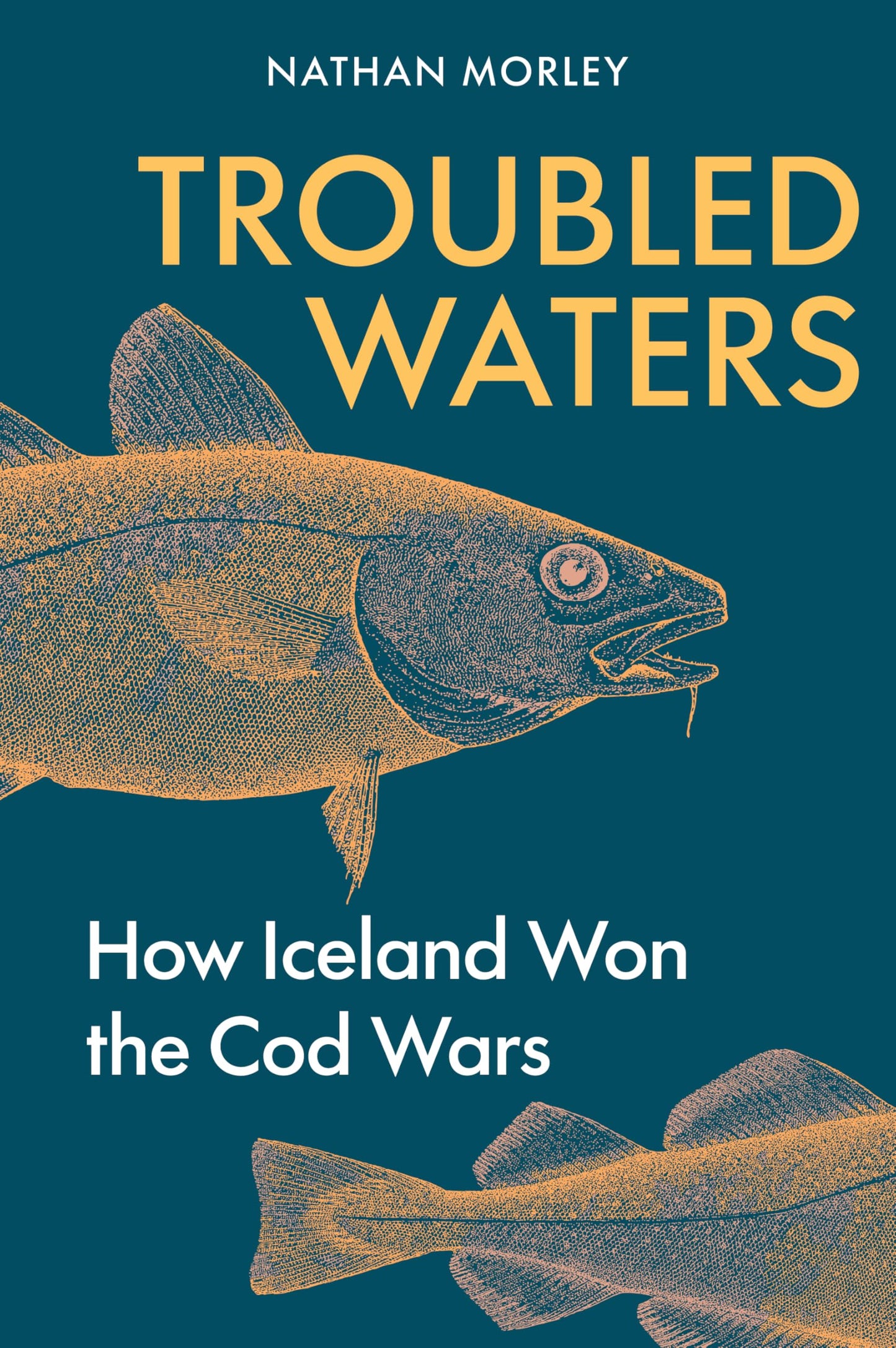 Troubled Waters: How Iceland Won the Cod Wars