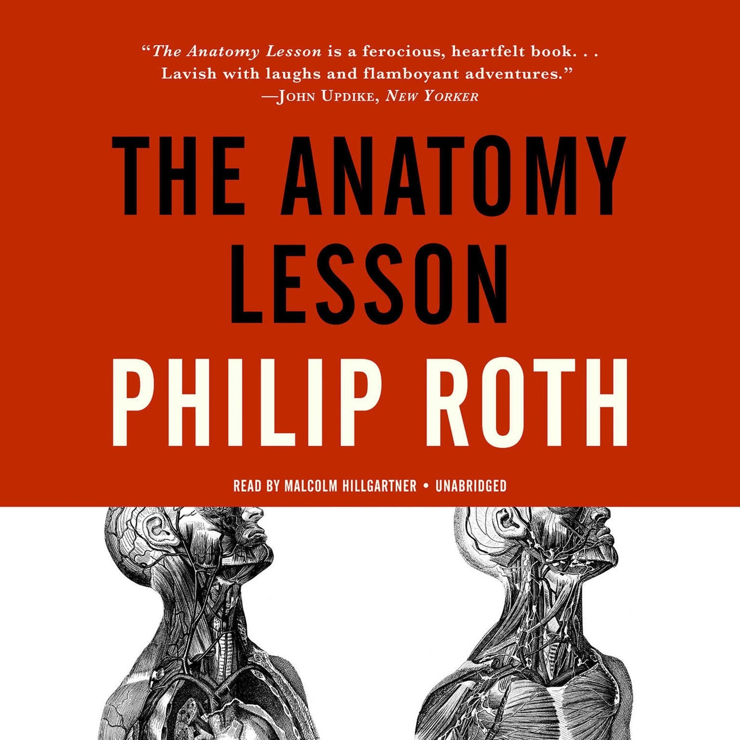 The Anatomy Lesson: The Nathan Zuckerman Series, Book 3