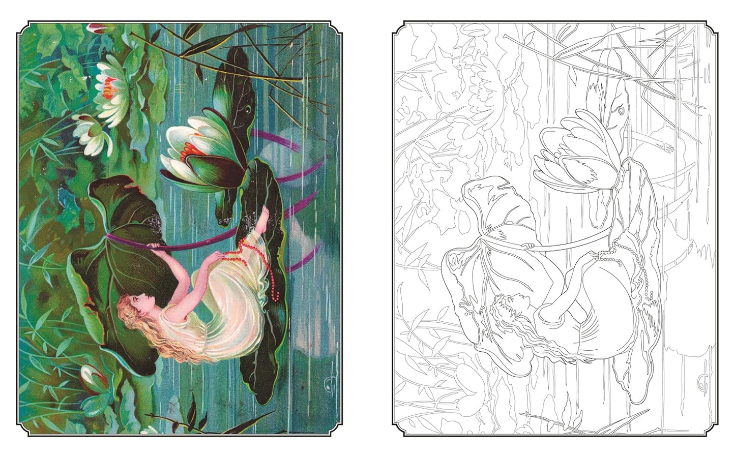 Garden Fairies Colouring Book