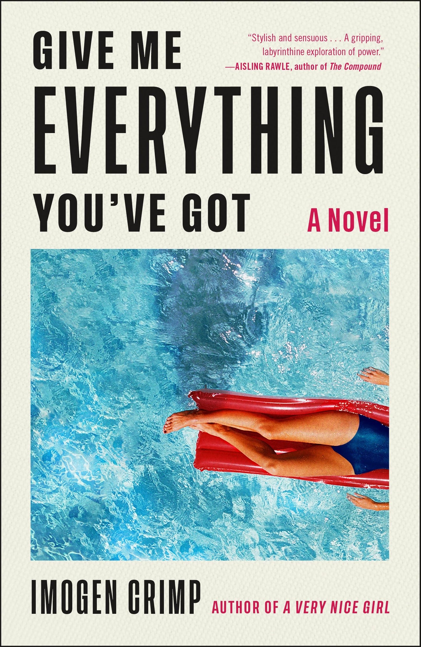 Give Me Everything You've Got: A Novel