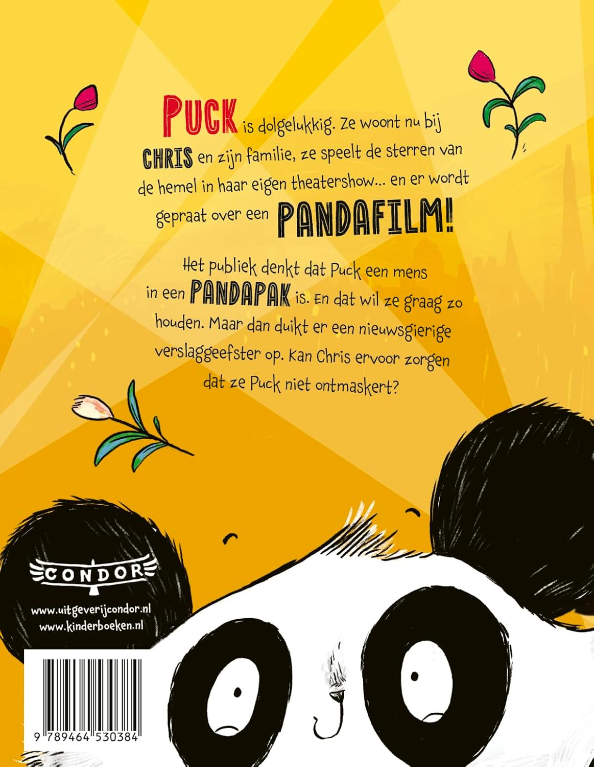 Een Panda Op Het Podium
