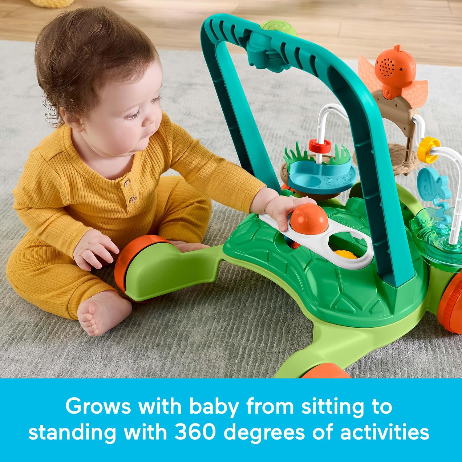 Fisher Price Moves With You Activity Walker