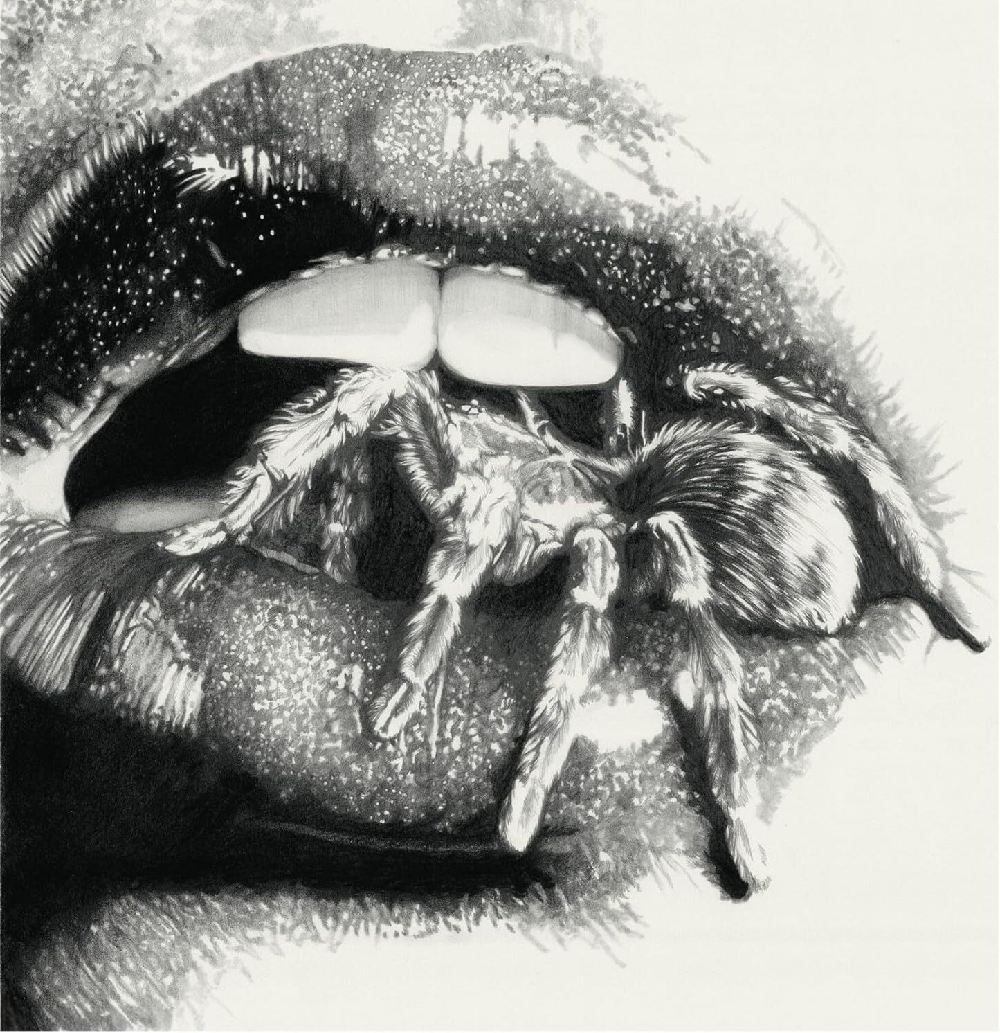 Let the spiders in