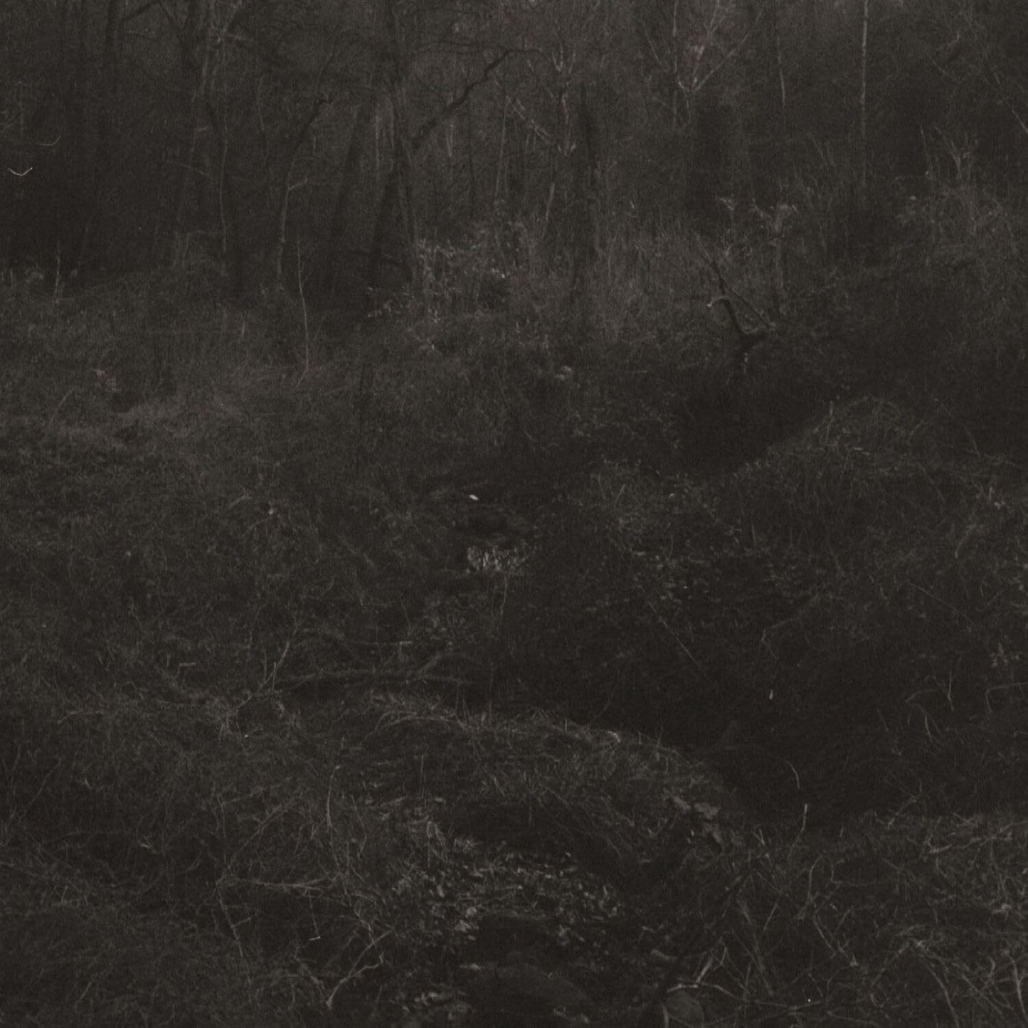 Transient