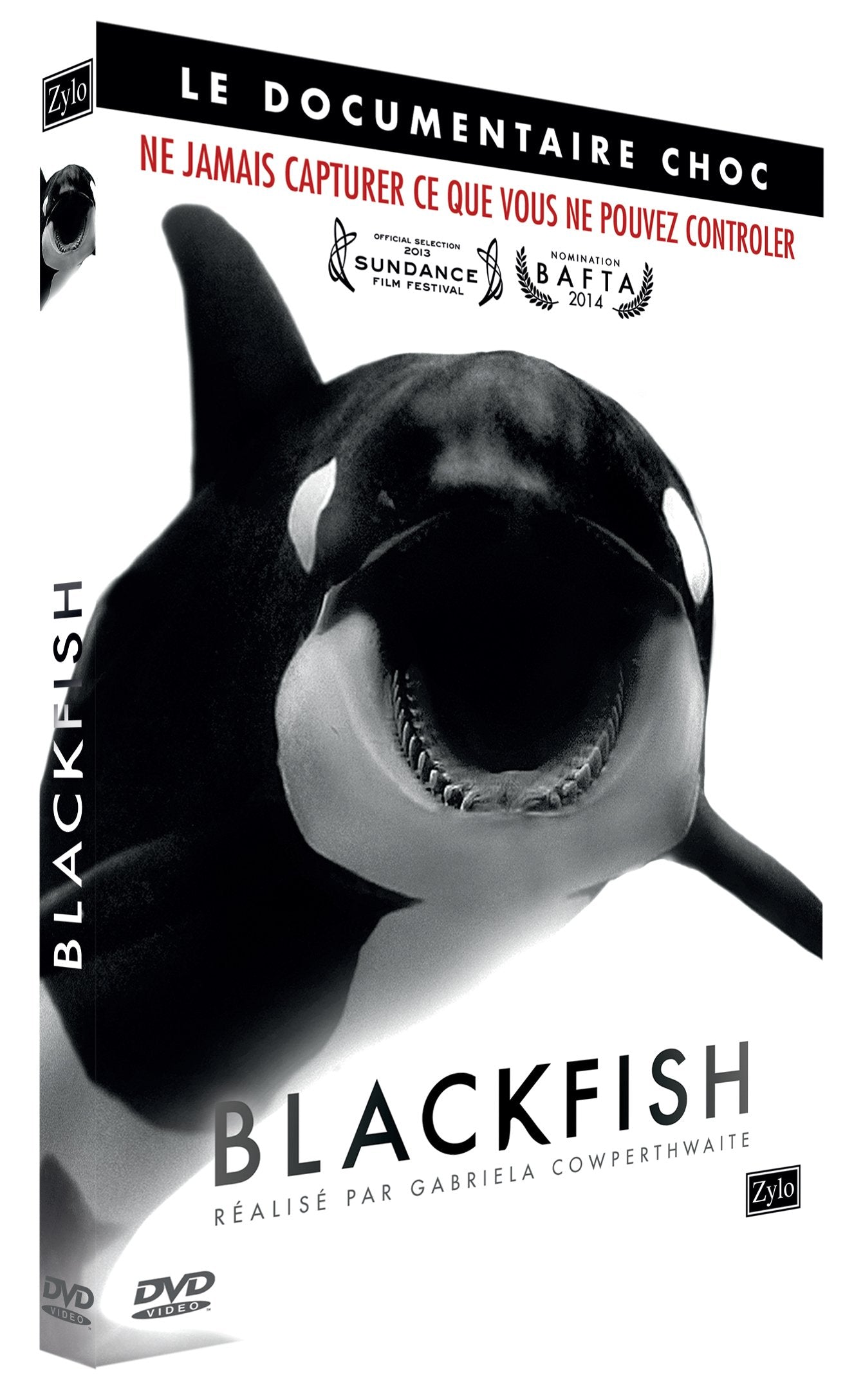 Blackfish
