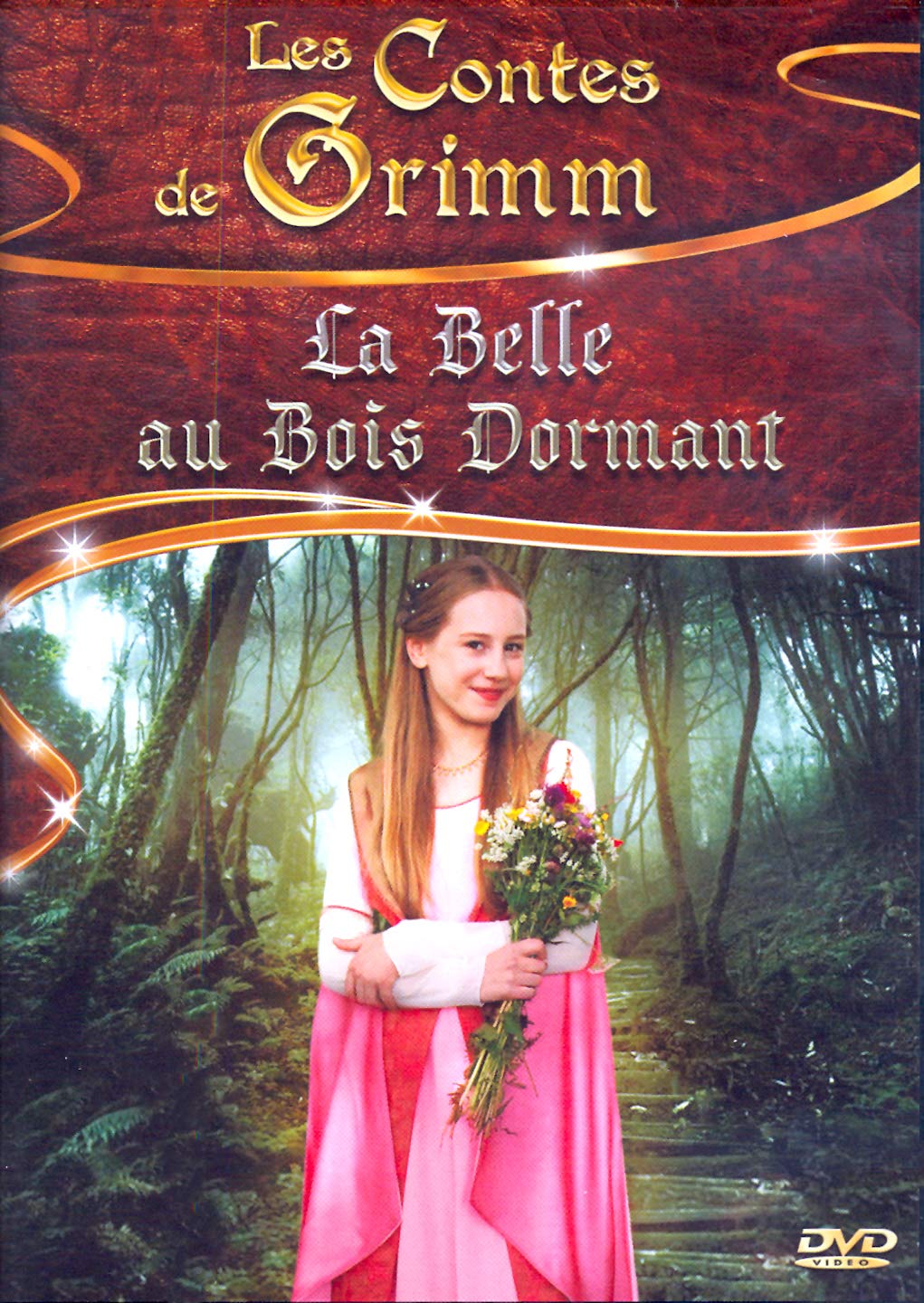 Les contes de grimm : la belle au bois dormant