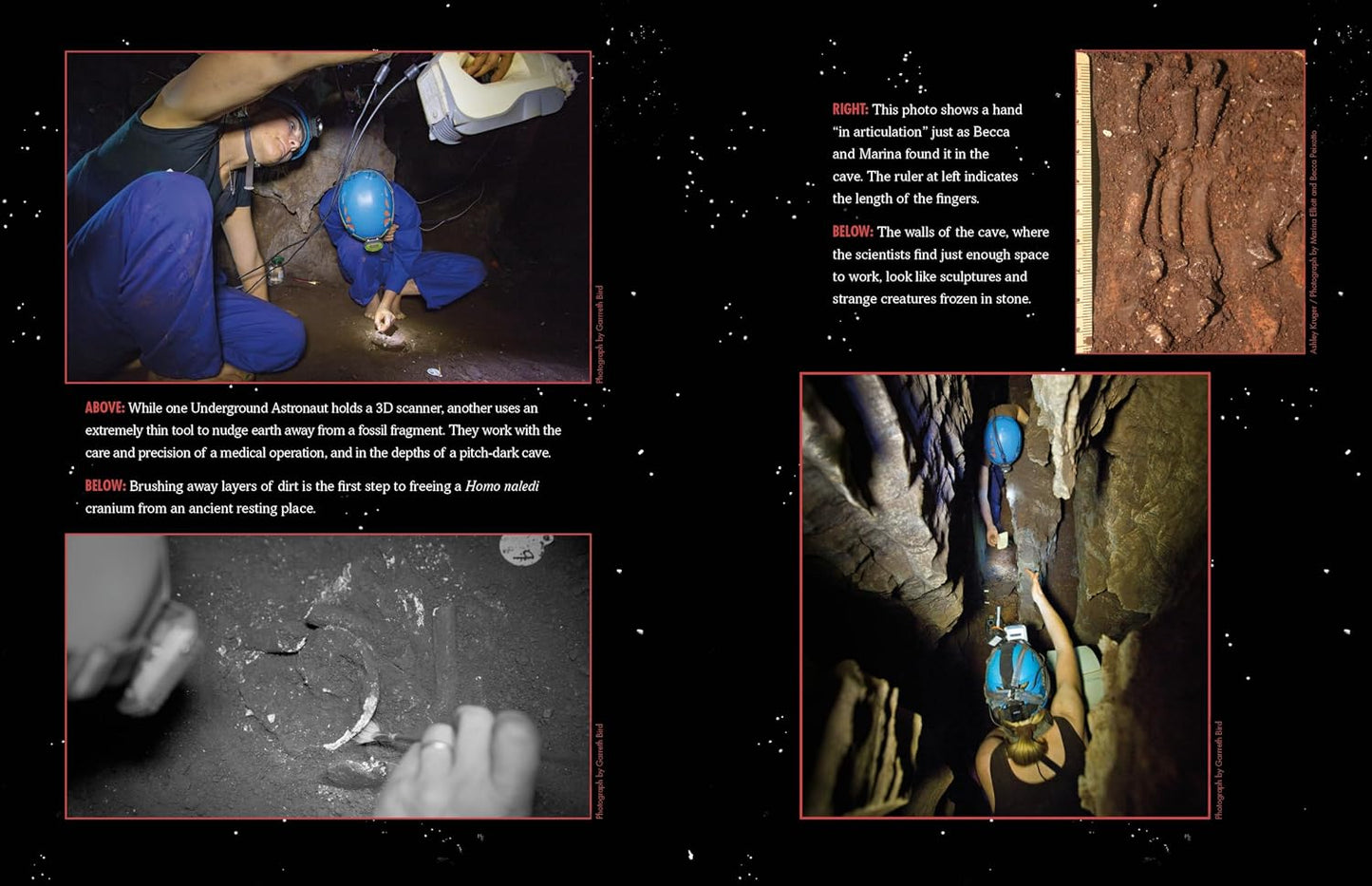 Reading the Bones: Homo Naledi and the Mysteries of Human Evolution