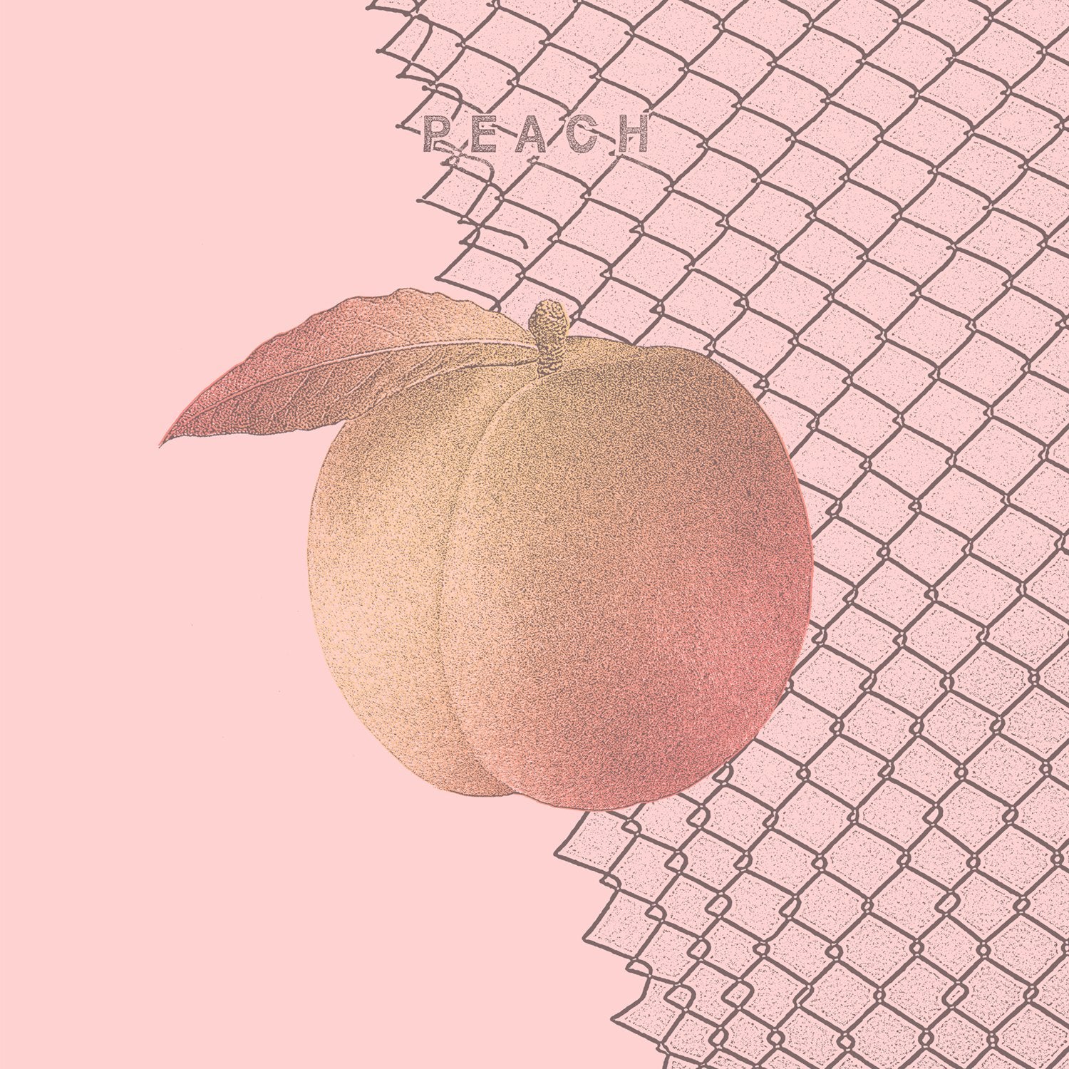 Culture Abuse-Peach