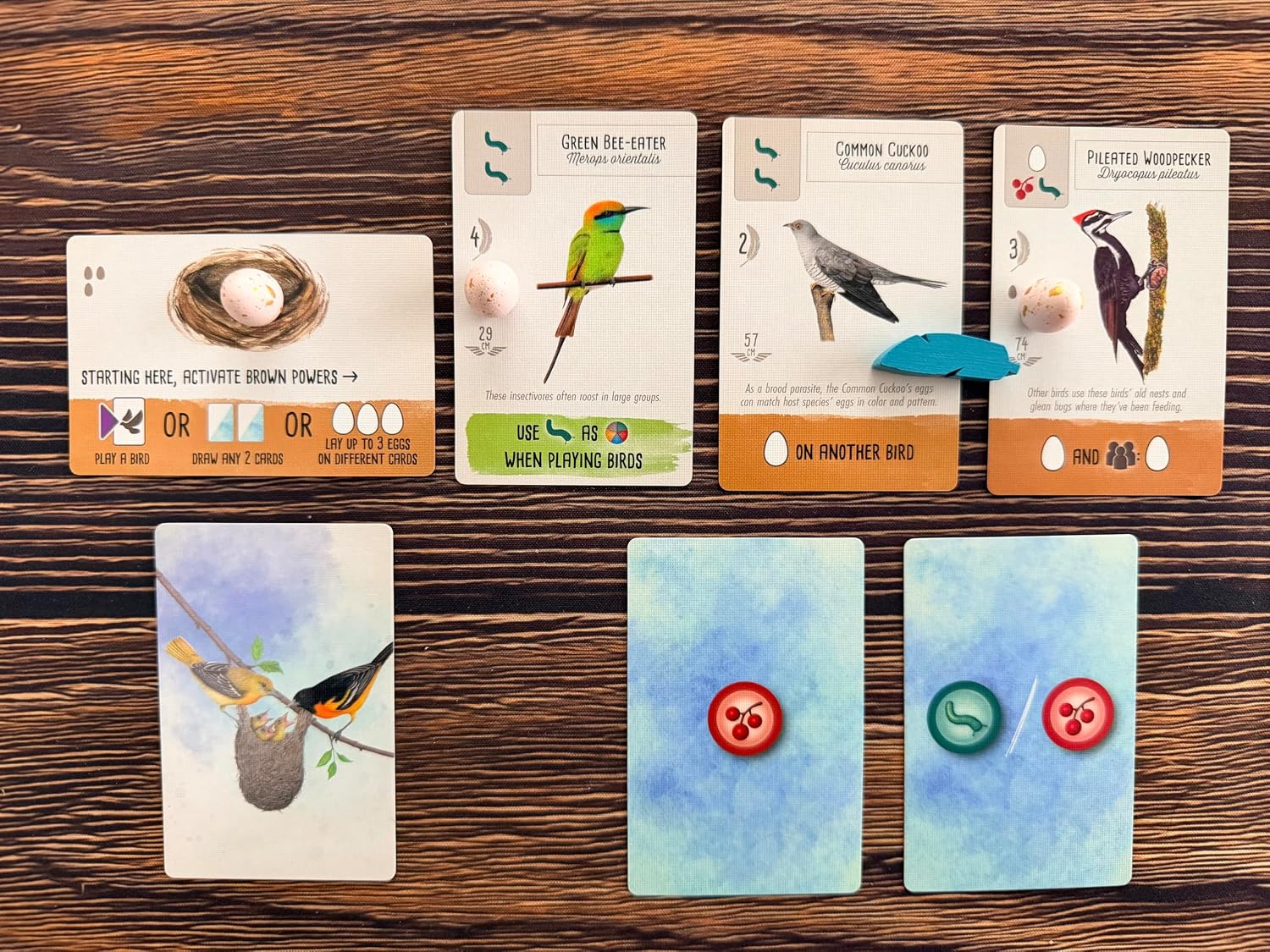 Stonemaier Games | Wingspan Pocket | Travel-Friendly Strategic Card Game