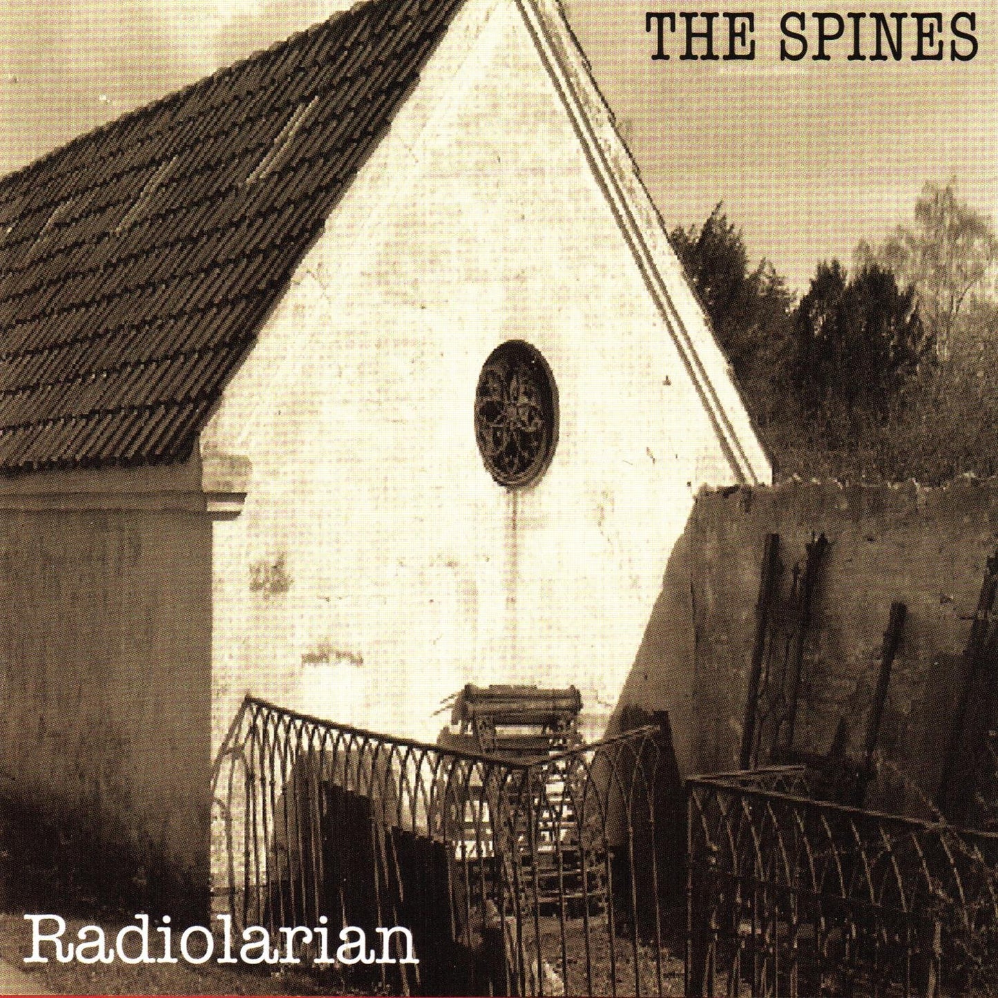 Radiolarian