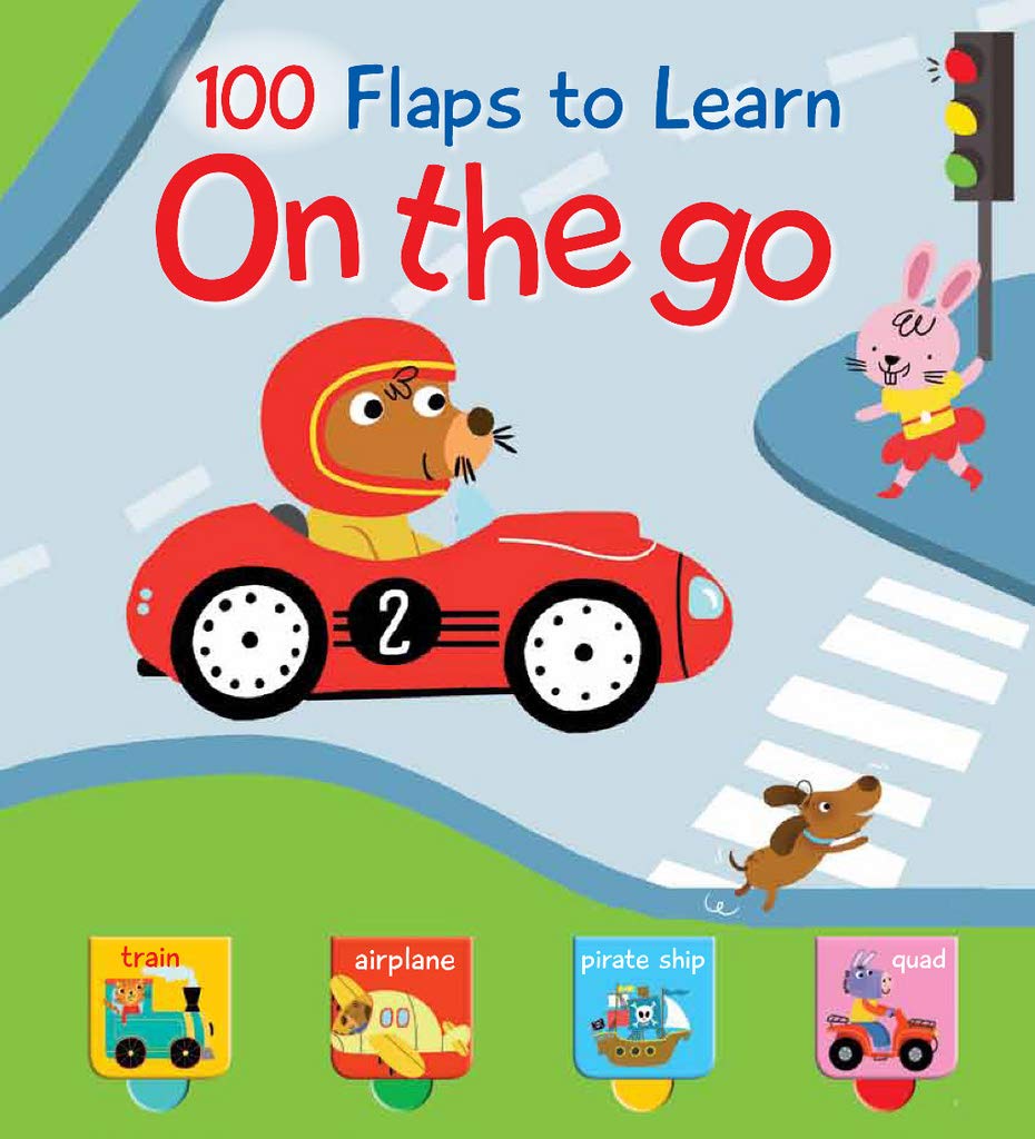 100 Flaps to Learn On the go (2019