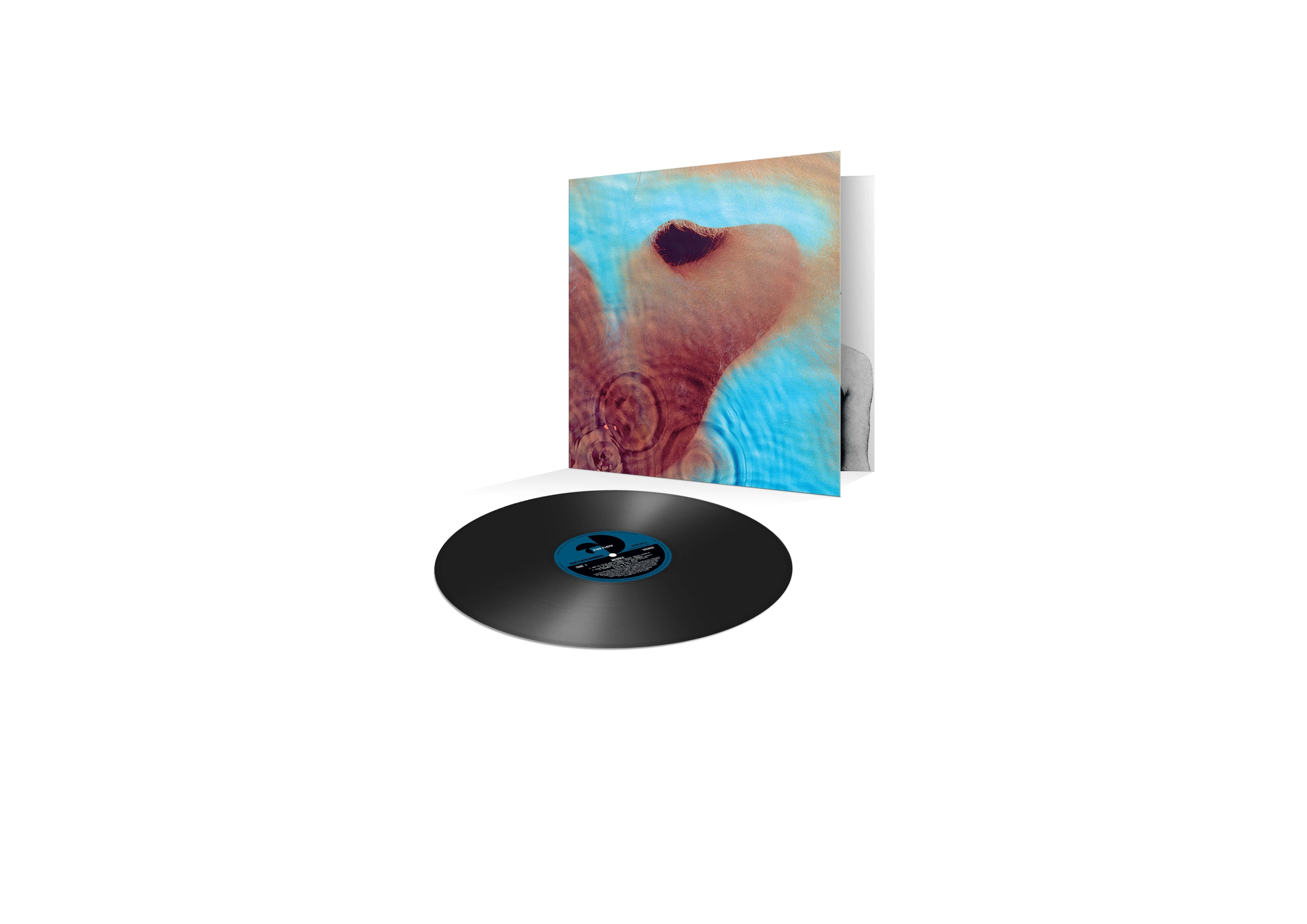Meddle