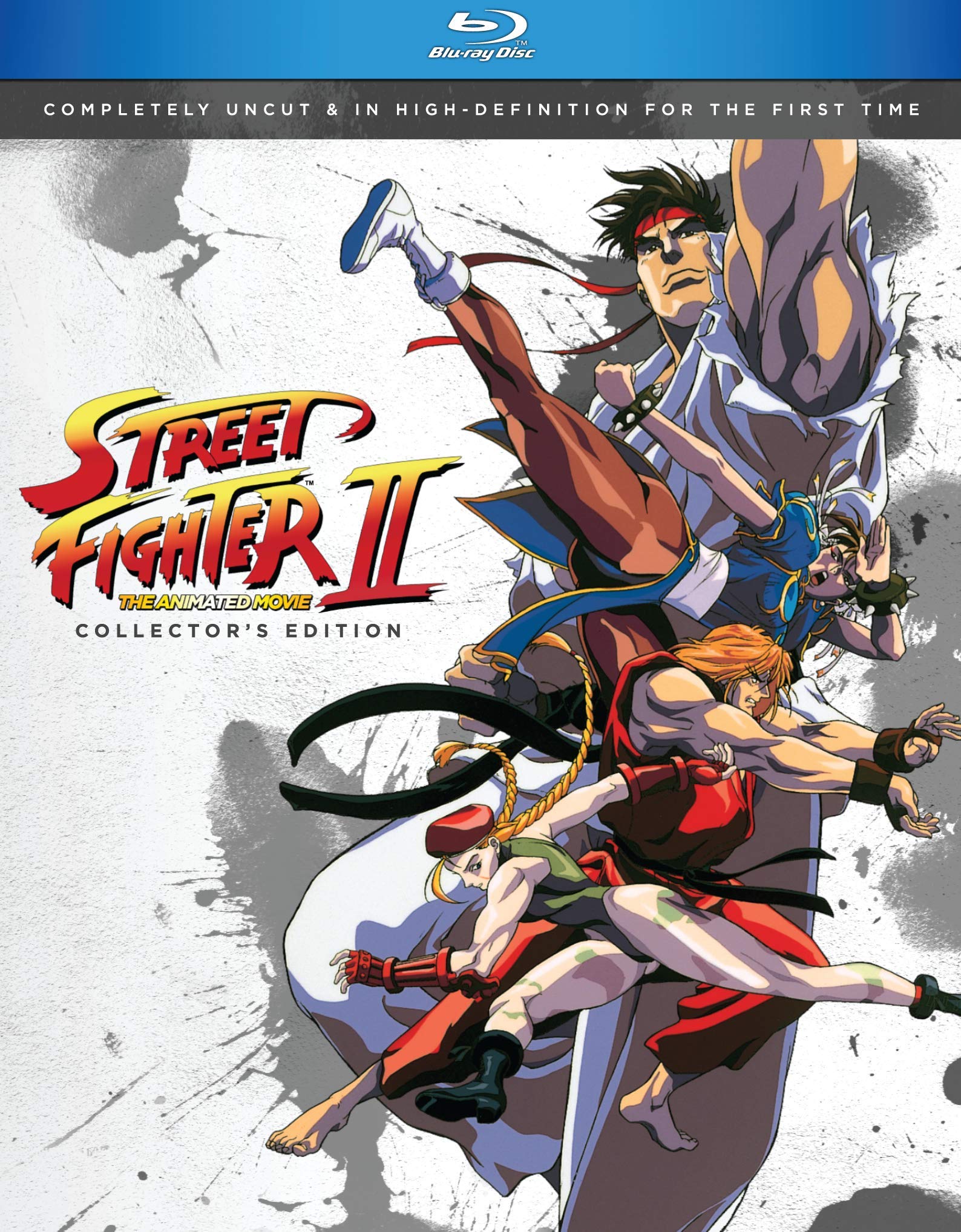 Street Fighter II the Animated