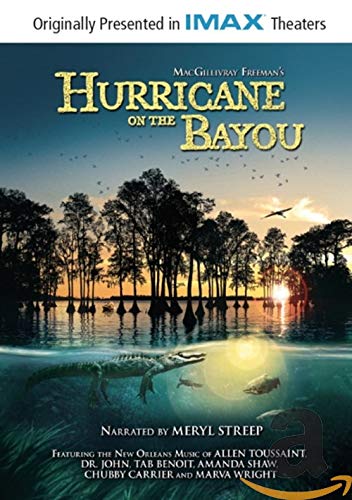 Hurricane on the Bayou