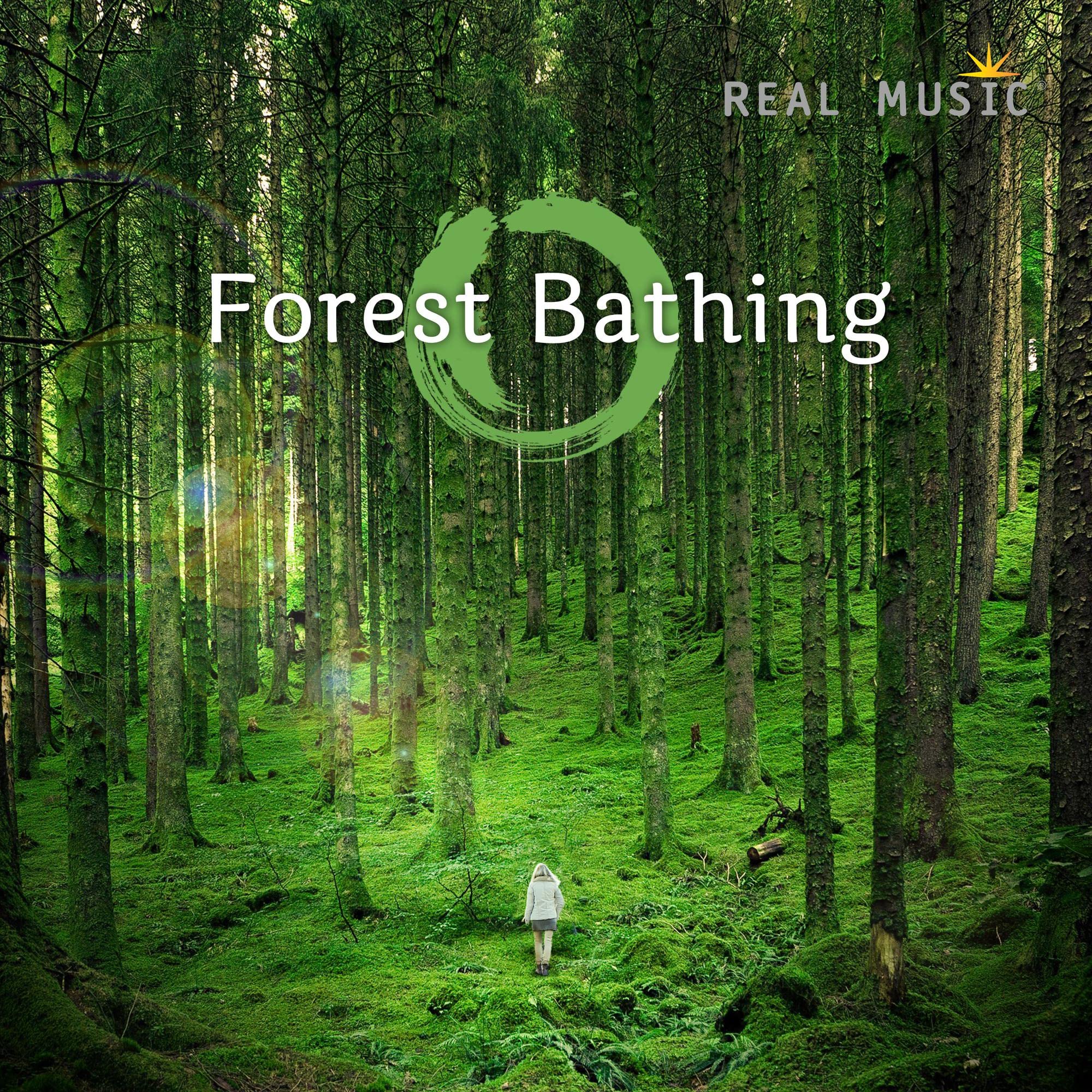 Forest Bathing: Collection-V/A