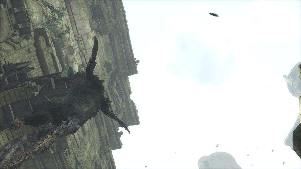 The Last Guardian