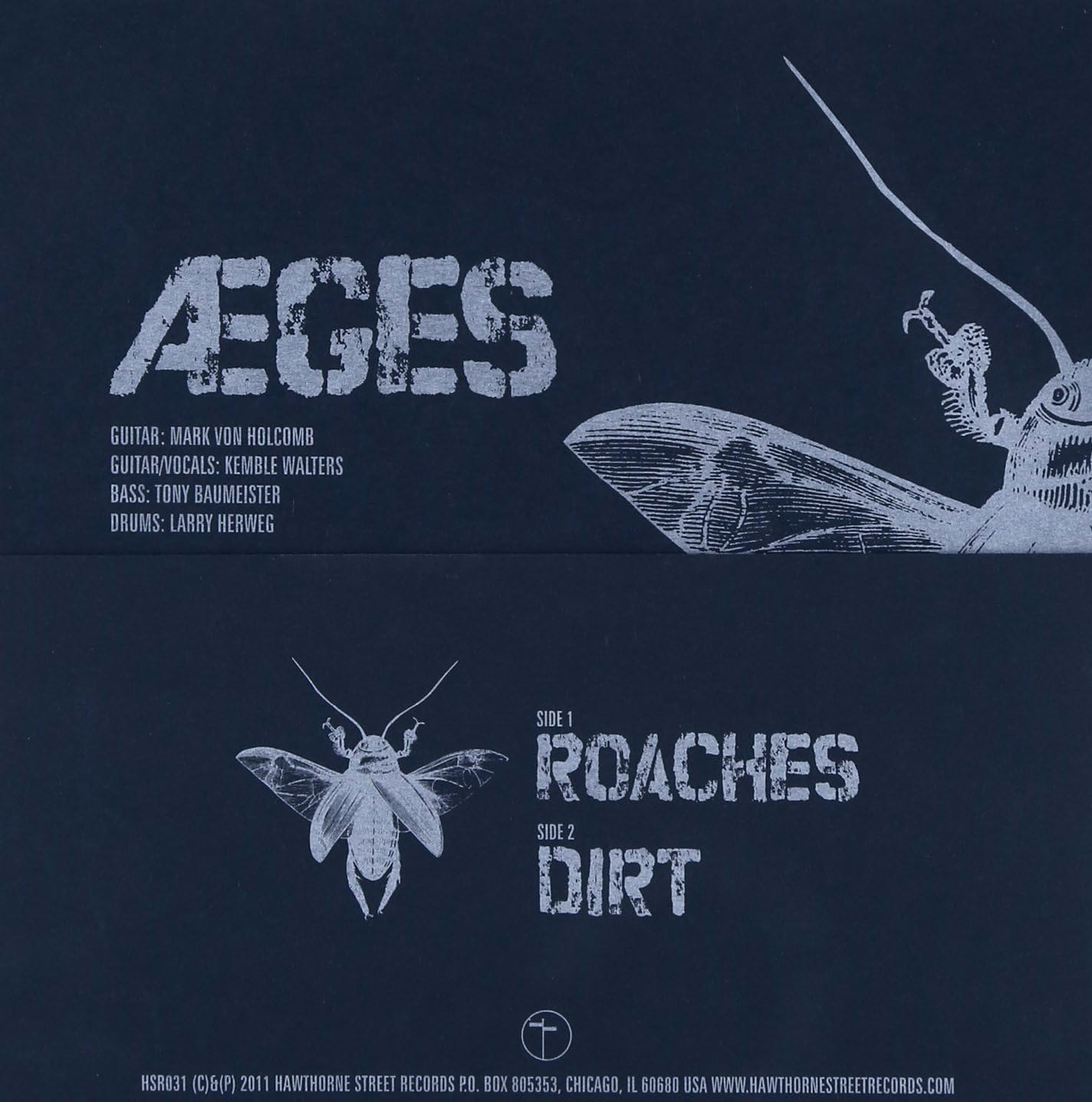 Roaches