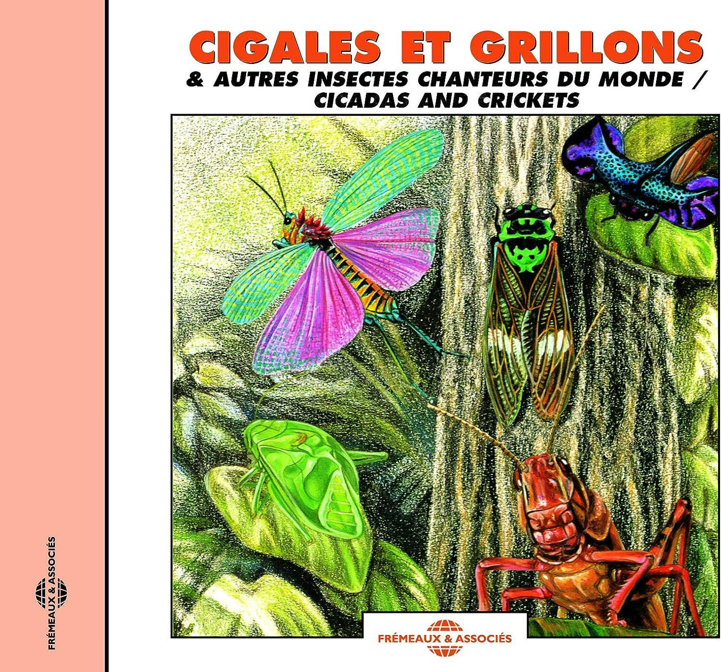 Cigales Et Grillons: & Autres Insectes Chanteurs Du Monde