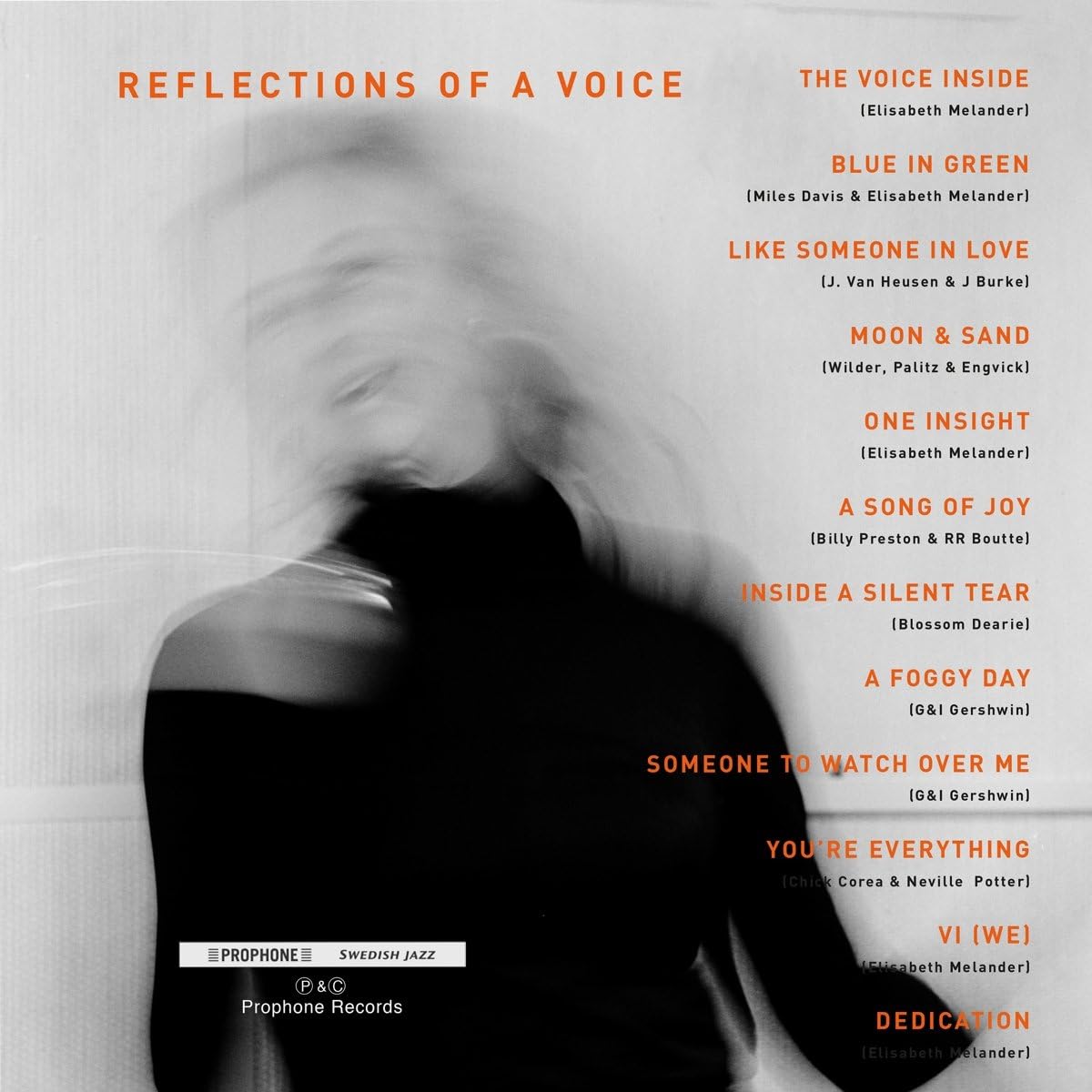 Reflections Of A Voice