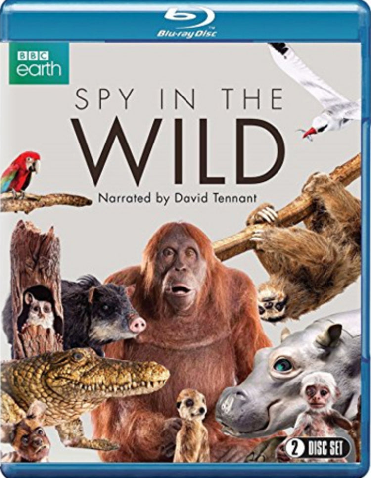 Spy in the Wild