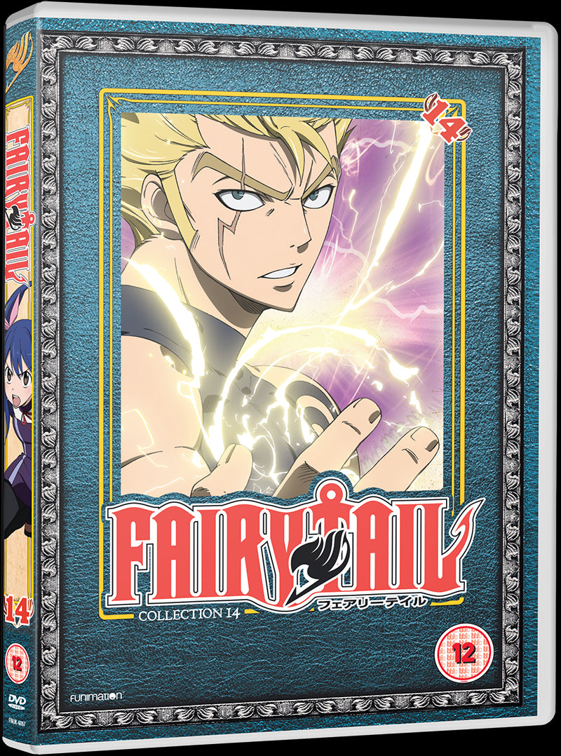 Fairy Tail: Collection 14