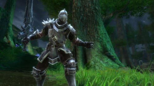 Kingdoms of Amalur: Reckoning (PC DVD