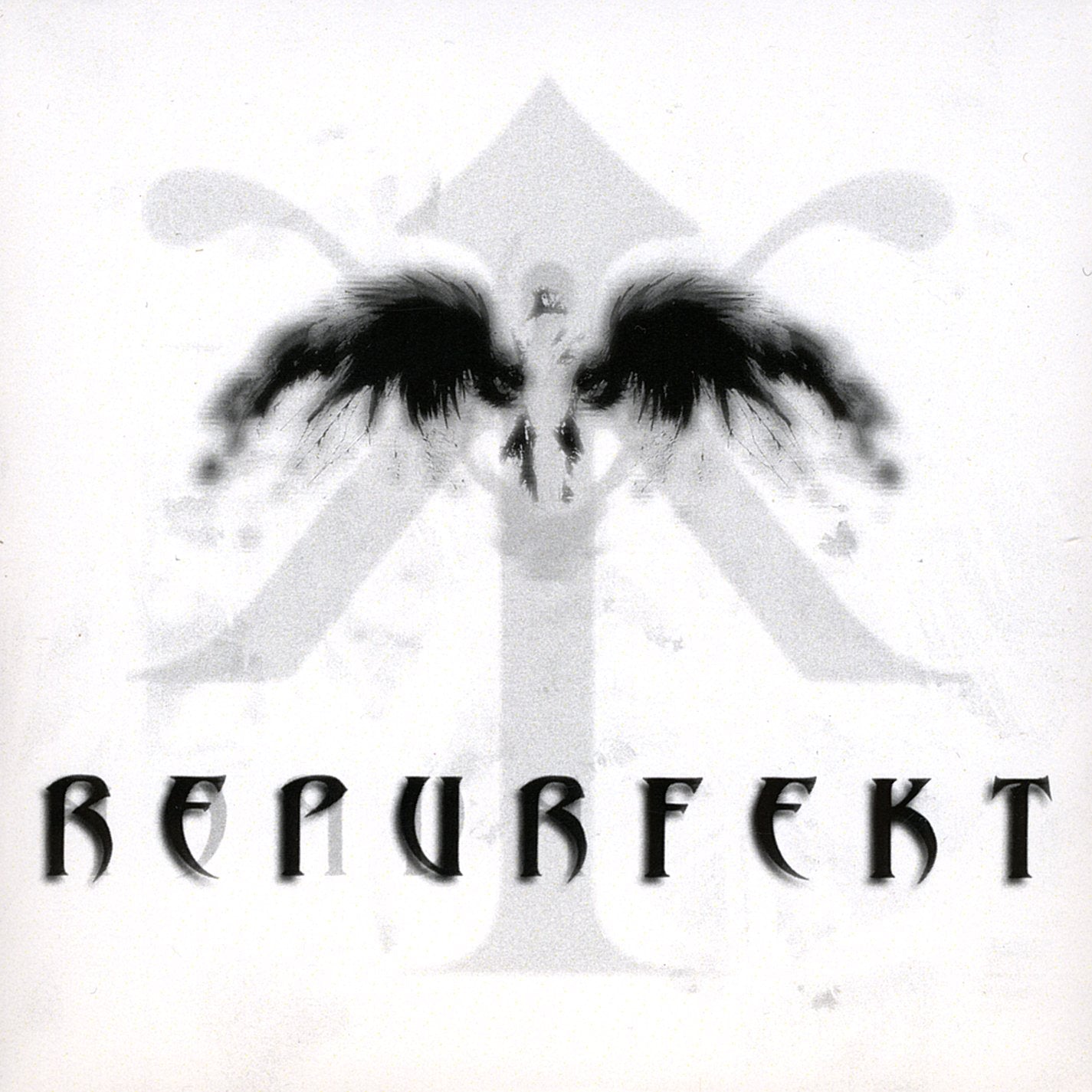 Repurfekt