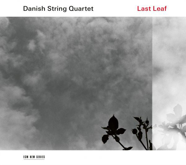 Danish String Quartet: Lost Leaf