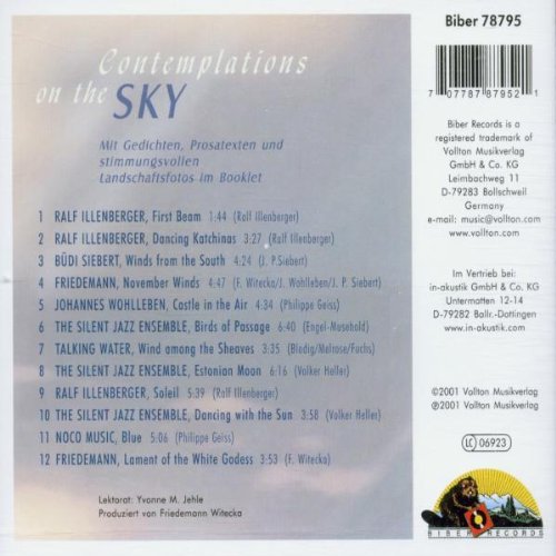 Contemplations on the Sky