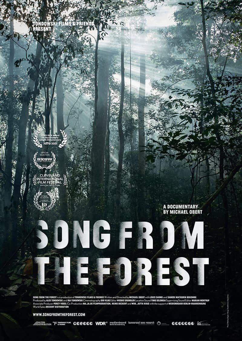 DVD - Song From The Forest (1 DVD