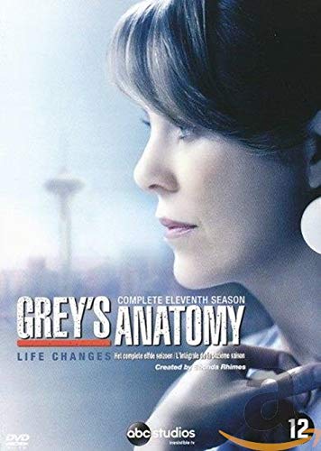 Grey'S Anatomy - Seizoen 11