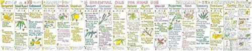 Essential Oils for Home Use