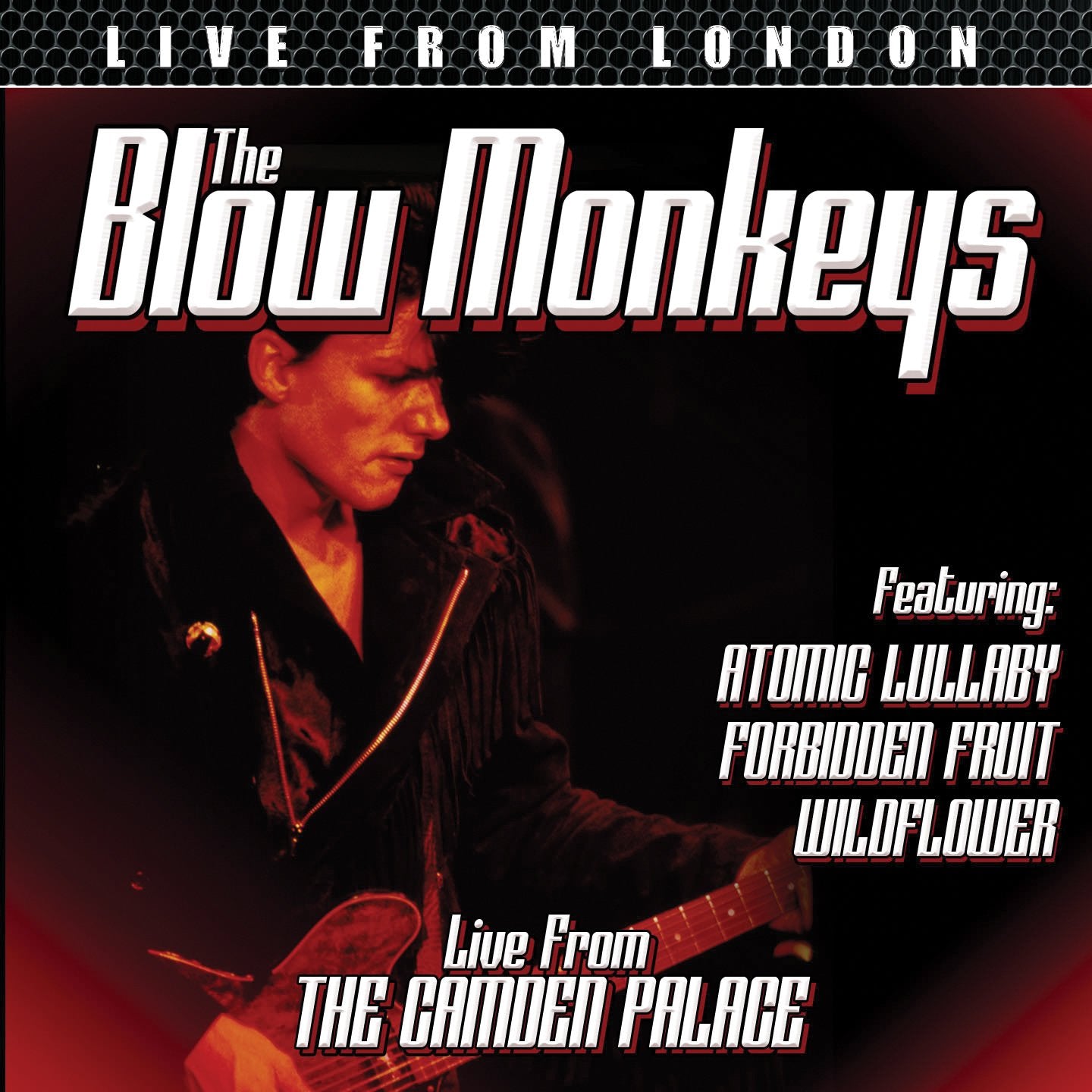 The Blow Monkeys - Live from London