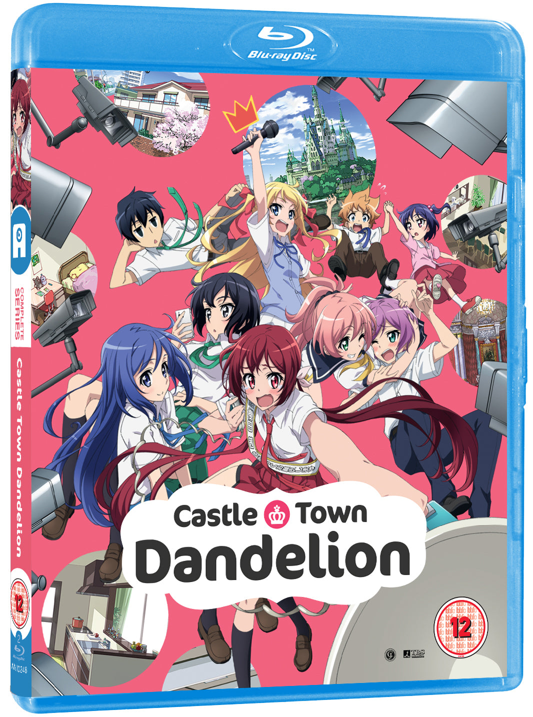 Castle Town Dandelion