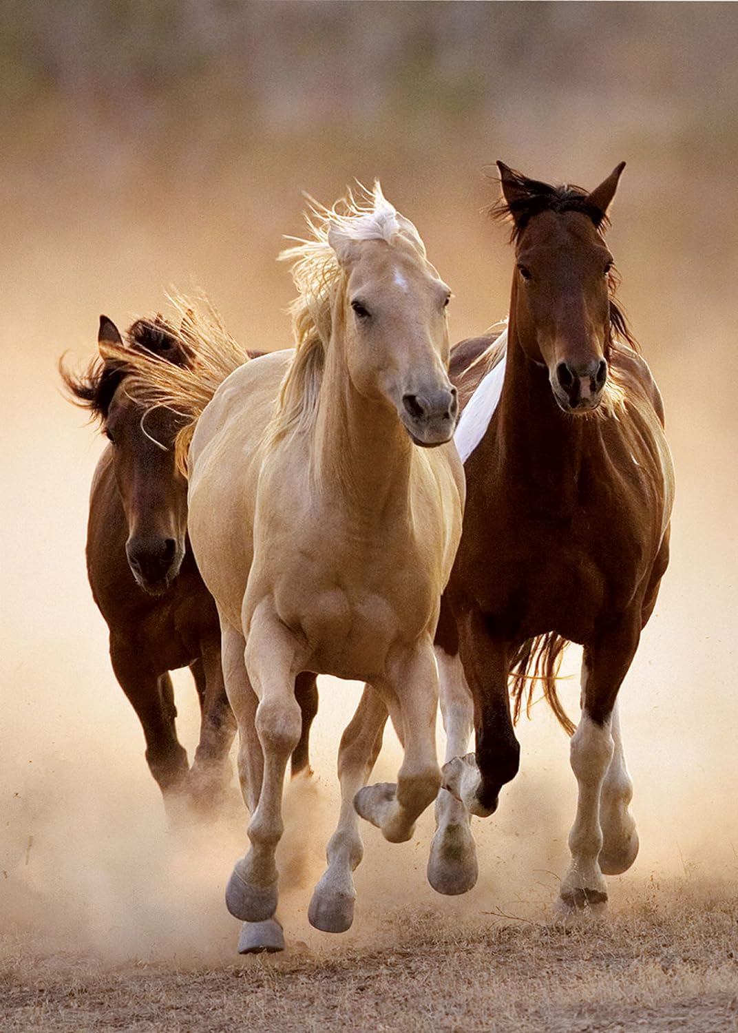 Clementoni - Running horses - 1000 Piece Puzzle